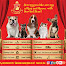 Caesar JacO Petshop - Pet Supplies & Services