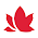 Lifemark Physiotherapy Stoney Creek