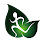 New ECO Physiotherapy