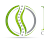 Chiropractic Ipsum