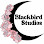 Blackbird Studios