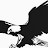 Black Eagle Transport Ltd