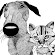 Village Veterinary Practice