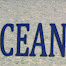Ocean Wholesale