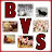 Best Veterinary Solutions, Inc
