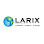 Larix Landscape