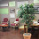 Desert Wind Coffee Roasters