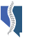 Nevada Pain & Spine Specialists