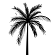 The Sui Store