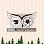 Owl Photography Studio