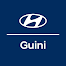 Concesionario Hyundai Guini
