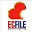 Ecfile Solutions Pvt. ltd.