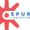 Spur Logistics (Amazon Delivery Service Partner)