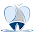 Cook's Bay Dental