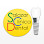 Salazar Clínica Dental