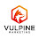 Vulpine Marketing - Web Design, Video Production, Social Media