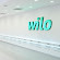 Wilo Pumps Saudi Arabia