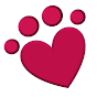 Kate Perry Dog Training + Daycare Center