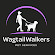 WagtailWalkers