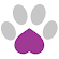 South Yorkshire Dog Walkers | Sheffield Dog Walking