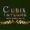 Cubix Integre Events