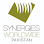 Synergies Sourcing Pakistan (Pvt) Ltd.