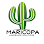 Maricopa Landscape Solutions LLC