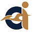ALBATROSS INFORMATION TECHNOLOGY LLC