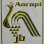 Arapi Jewellery