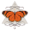 House of Danaus