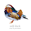 odd duck | wine & provisions