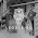 Legalbird | Family and Civil Litigation