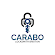 Carabo Locksmith Brixton