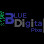Blue Digital pixel Digital marketing agency in Lahore Pakistan