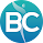 Body Cure Sport and Therapy