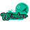 The Window Cleaner