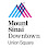 Orthopedic Services at Mount Sinai-Union Square