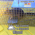 Rat Control Of Miami