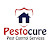 Pestocure Pest Control Services Nizampet