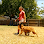 My EPIC Dog - Human and Dog Training