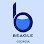 Beagle Services Inc. (Georgia)