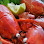 Stephanie's Grill and Bar