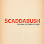 Scaddabush Italian Kitchen & Bar Barrie
