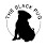 The Black Pug