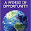 Buy Homes America, Inc. International Real Estate Broker. Serving Chicago and Suburbs