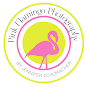 Pink Flamingo Photography