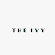 The Ivy