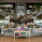 Magasin Latulippe