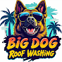 Big Dog Roof Washing