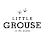 Little Grouse on the Prairie